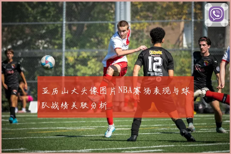 亚历山大头像图片NBA赛场表现与球队战绩关联分析