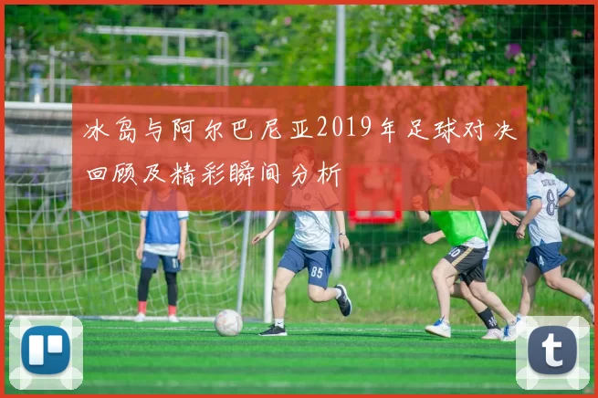 冰岛与阿尔巴尼亚2019年足球对决回顾及精彩瞬间分析