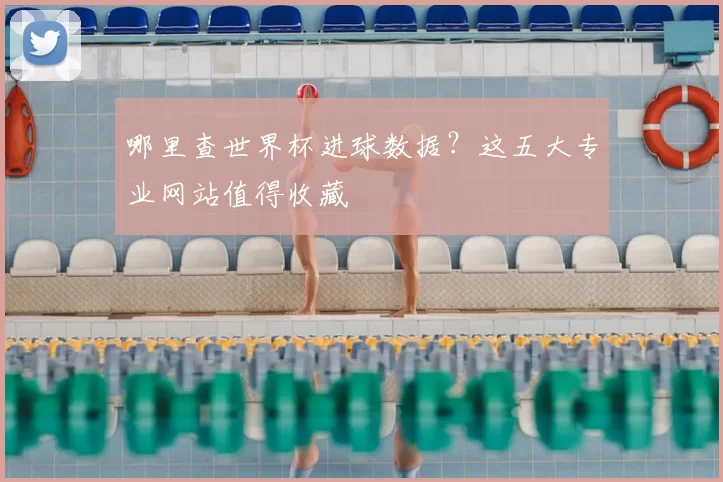 哪里查世界杯进球数据？这五大专业网站值得收藏