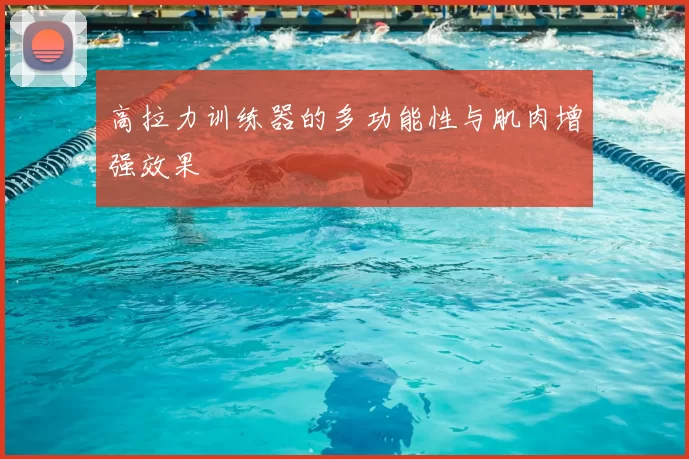 高拉力训练器的多功能性与肌肉增强效果