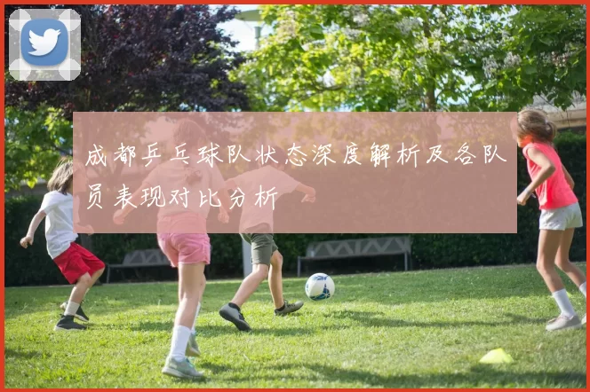 成都乒乓球队状态深度解析及各队员表现对比分析