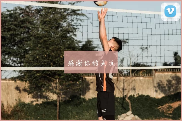 感谢你的关注