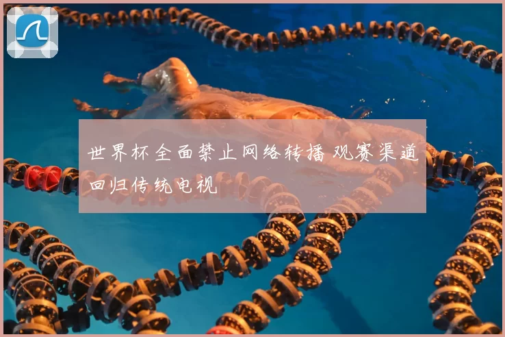 世界杯全面禁止网络转播 观赛渠道回归传统电视
