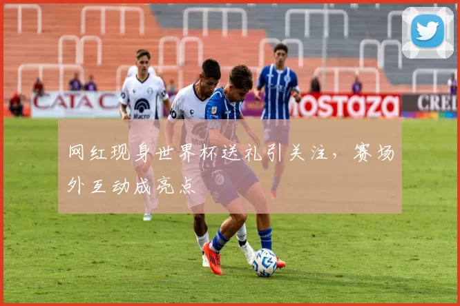 网红现身世界杯送礼引关注,赛场外互动成亮点