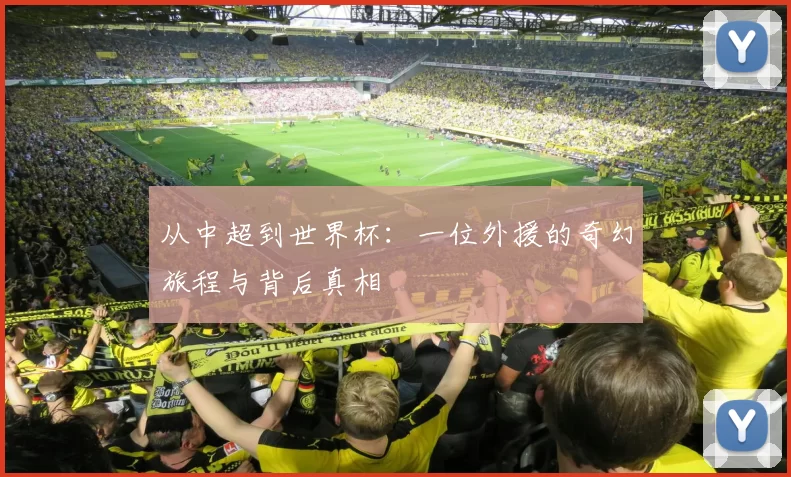 从中超到世界杯：一位外援的奇幻旅程与背后真相