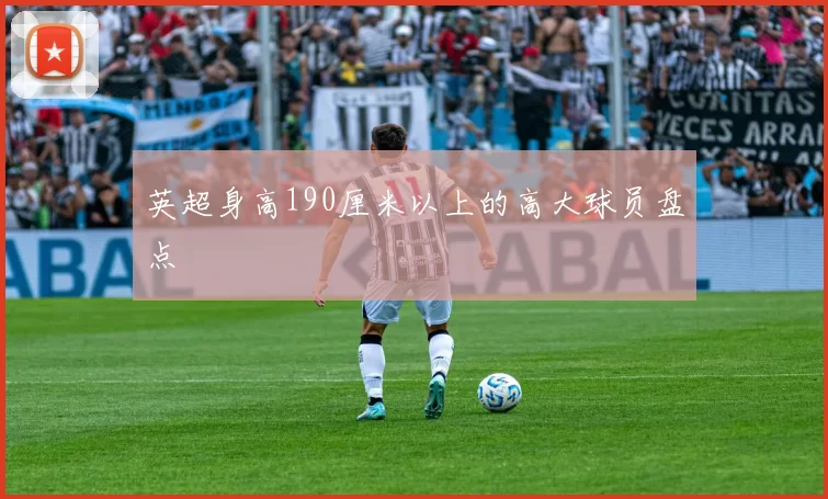 英超身高190厘米以上的高大球员盘点