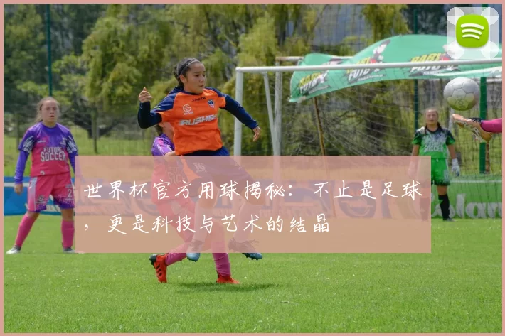 世界杯官方用球揭秘：不止是足球，更是科技与艺术的结晶