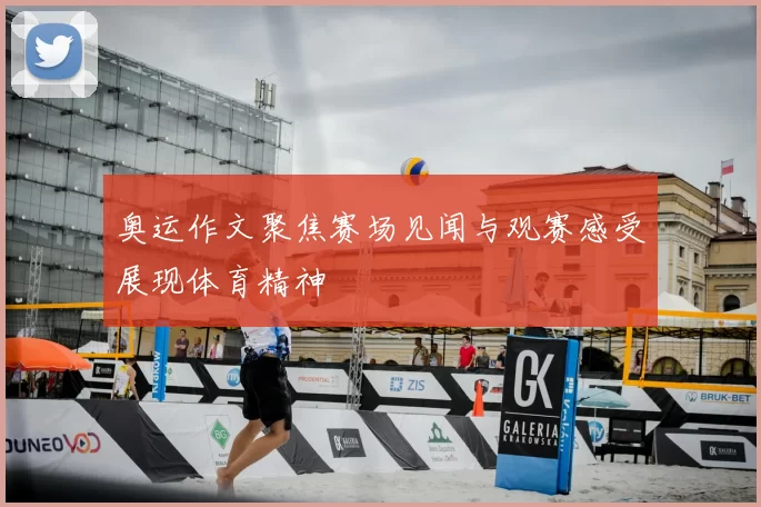 奥运作文聚焦赛场见闻与观赛感受展现体育精神