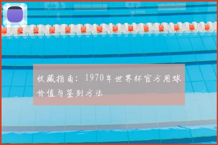 收藏指南：1970年世界杯官方用球价值与鉴别方法