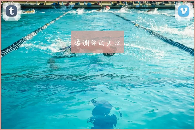 感谢你的关注