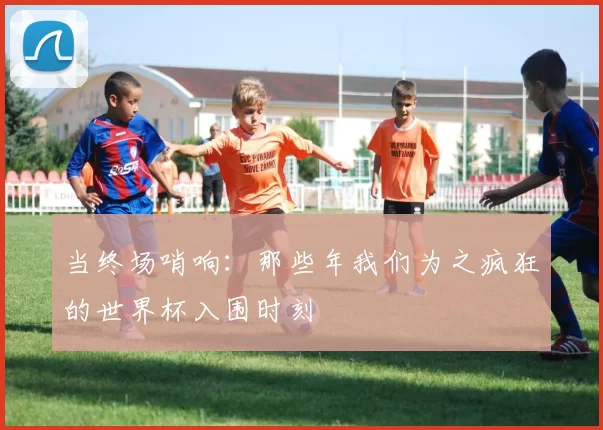 当终场哨响：那些年我们为之疯狂的世界杯入围时刻