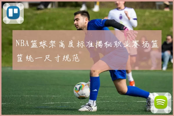 NBA篮球架高度标准揭秘职业赛场篮筐统一尺寸规范